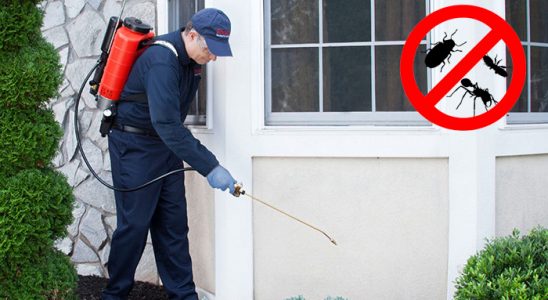 Küçükyalı Bit İlaçlama böcek ilaçlama ve haşere kontrolü — ilaclama-tr.com